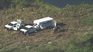 Police still searching for suspect in Ellis County accused of injuring an officer