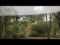 Fog x FLO: Fujiko Nakaya on the Emerald Necklace in Boston