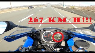 INSANE RIDING - SUZUKI SUPERBIKE in TRAFFIC - TOP SPEED RUN!!!