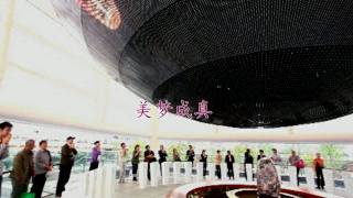 Shanghai Expo 上海世博会亚洲馆区