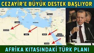 Cezayir'in Türkiye'den İsteği ve Erdoğan'ın Afrika Hamlesi