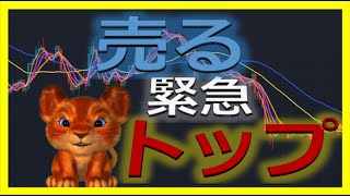 【仮想通貨ビットコイン今後】短期は下落！初心者でもわかるテクニカル分析