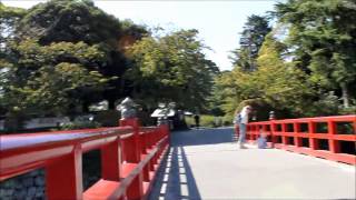 Let's go to the Odawara castle park.小田原城址公園へ行こう！お堀端、学橋、二の丸広場編