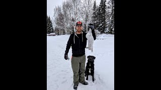 Trapping Snowshoe Hare in backcountry Alaska.