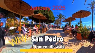 San Pedro de Alcántara 🇪🇸  possibly the Best promenade on the Costa del Sol in January 2025