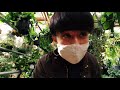 【早大生の一日vlog】植物オタクと行く、初めての観葉植物探し オザキフラワーパーク