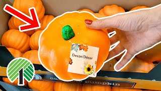 Use Dollar Tree Pumpkins for DIY Halloween & Fall Decor!
