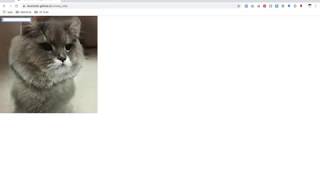 RunwayML Hosted Models Tutorial (Make a GAN Website with p5.js)