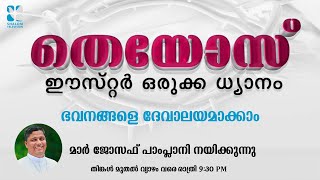 ഈസ്റ്റർ ഒരുക്ക ധ്യാനം - തെയോസ്.  മാർ ജോസഫ് പാംപ്ലാനി നയിക്കുന്നു  | THEOS - DAY 1 | SHALOM TV