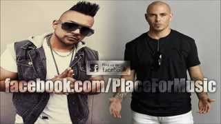 Sean Paul ft. Pitbull - She Doesn't Mind (Official Remix)