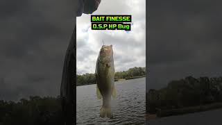 Bait Finesse bass fishing! Daiwa Alphas Air TW, Blazon, and O.S.P HP Bug. #shorts