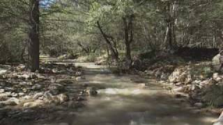 Chiricahuas: Mountain Islands in the Desert