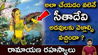 Sita Cursed :చిలుకలు సీత దేవిని ఎందుకు శపించాయి ? |Ramayana untold story In Telugu| Padma puranam