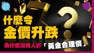 金價上升的真正原因！如何計算黃金合理價？#一個公式計完【施傅教學 | #理財 #通脹 #QE】