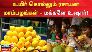 Mango Season | ரசாயன  மாம்பழங்களை கண்டுபிடிப்பது எப்படி | Chemical Mango | Tamil News