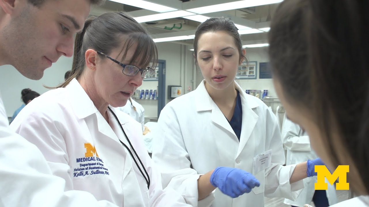 Your M-Home At The University Of Michigan Medical School - YouTube