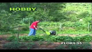 Labinprogres  HobbyFlora55