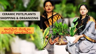 Ceramic Pots, Plants & Potting | Gardening | Indoor Plants in telugu | Ceramic Pots