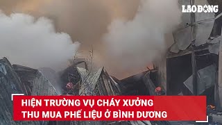 Hiện trường vụ cháy xưởng thu mua phế liệu ở Bình Dương | Báo Lao Động