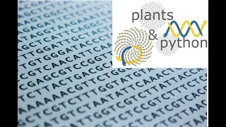 Working with sequences in Python