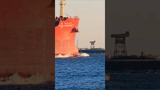 PAN HARVEST ON THE ROCKS🌊🌊 #ship #wow #epic #waves #containership #oiltanker #roughseas #sea