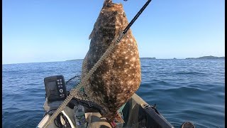 カヤックフィッシング（山口）４６　kayak fishing in yamaguchi in autumn with a nice flat fish