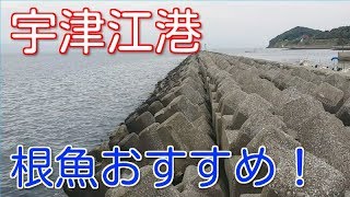 【田原市】宇津江港の釣り場ポイント紹介！根魚が釣れるよ！【愛知釣り場】