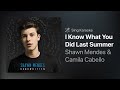 Shawn Mendes & Camila Cabello - I Know What You Did Last Summer 🎙️ Apple Music Sing Karaoke Duett