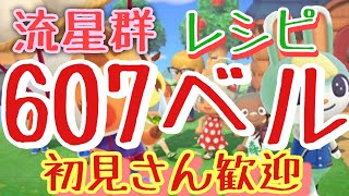 【あつ森】ライブ参加型　カブ607ベル島や流星群など　かぶ手数料なし