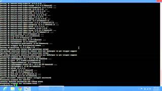 Install A Desktop Environment On Your Linux VPS ( XFCE4 + Ubuntu 11.10 )