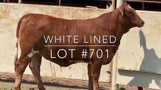 Lot #701: White Lined