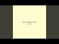 Echo Ember Pulse