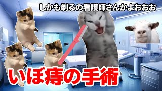 【猫ミーム】いぼ痔の手術をした時の話