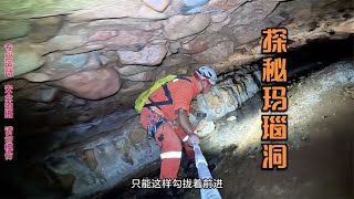 山洞里面玛瑙遍地，索降进入洞中，发现猛兽痕迹【户外行军蚁Explore adventure】