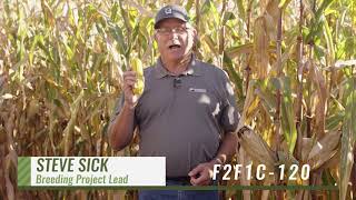 Agronomic Product Overview: F2F1C 120