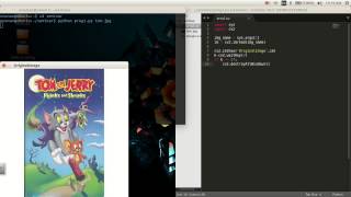 OpenCV programming with Python Linux - Installation and Working