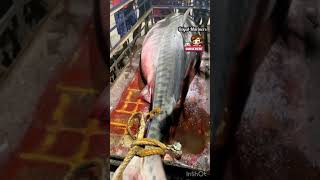 210Kg Indian Blue Sea Tiger Shark|Thoothukudi Fishing Harbour|#short|#royalmariners