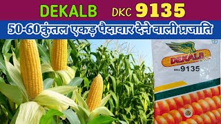 dkc 9135 corn | 9135 makka | bayer 9135 corn | Dekalb 9135 makka | bayer summer corn