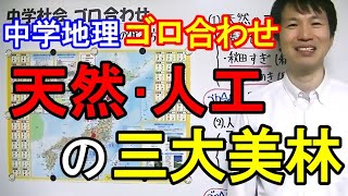 中学社会【ゴロ合わせ】地理「天然・人工の三大美林の覚え方」