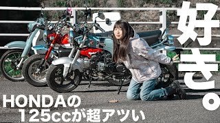 【比較】HONDAの原付２種がなんかスゴい事になってるぞぉおぉ！Dax125 モンキー125 C125