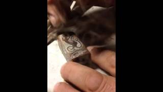 Carving a Chinese Qingtian stone seal