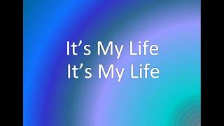 It s My Life Bon Jovi Mp3 Download Link