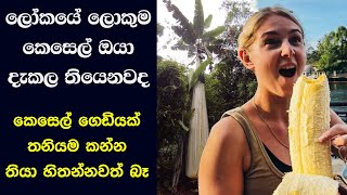 ලෝකයේ ලොකුම කෙසෙල් ඔයා දැකල තියෙනවද - කෙසෙල් ගෙඩියක් තනියම කන්න තියා හිතන්නවත් බෑ