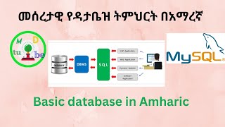 Introduction to database in Amharic
