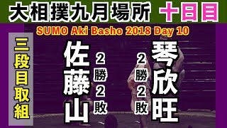 期待の若手 佐藤山が三段目で苦しむ / 大相撲2018秋場所 10日目 佐藤山-琴欣旺