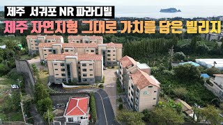 제주도주택매매 오션뷰 한라산뷰 제주 자연을 담은 서귀포 호근동 아름다운 전원주택