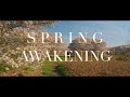 SPRING AWAKENING, a Cinematic short film by Hella Siertsema