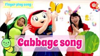 キャベツの中から　英語バージョン；Cabbage song