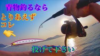 【誰でも釣れる】セットアッパーのただ巻きで青物釣ってきました！