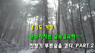 지중해 프로젝트.잣향기푸른숲을걷다.PART-2.눈보라치는 숲속깊숙히~ 경기도 트래킹길.둘레길.대한민국의 길을걷다.